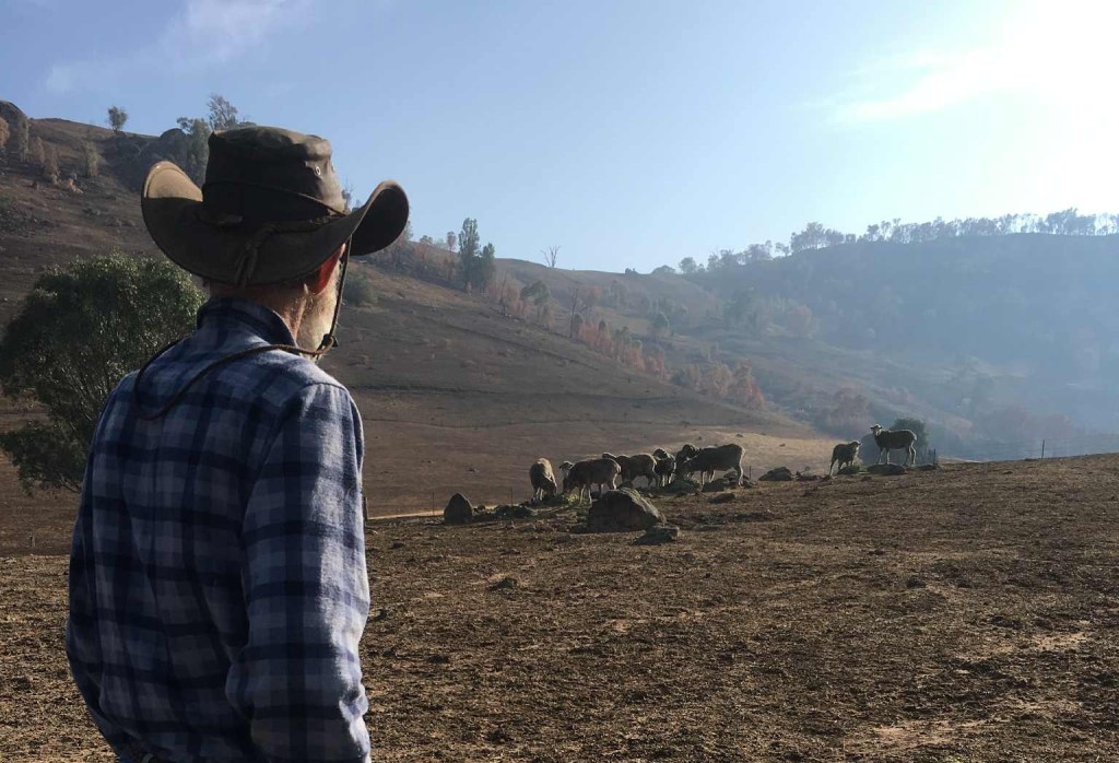 Communicating the climate crisis in a post-truth&nbsp;world